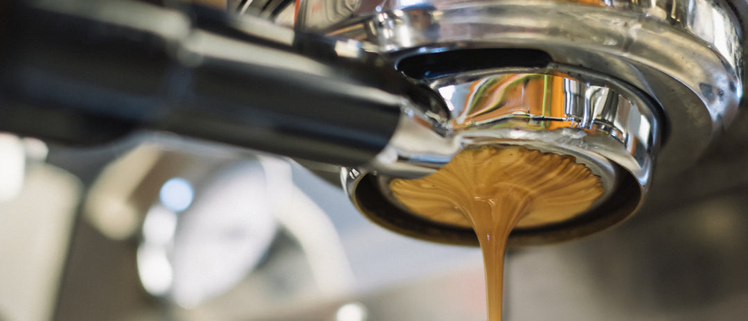 The Ultimate Guide: Must-Have Accessories for Your Espresso Machine