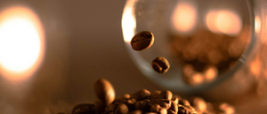 Coffee & Espresso FAQs: Everything You Need to Know This Holiday Season