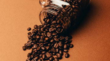 How To: Pick the Right Coffee Bean