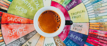 Demystifying Tasting Notes: How to Decode Coffee Bag Flavour Descriptions