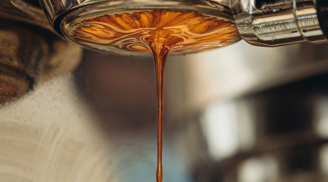 French Toast Cold Brew Iced Coffee Recipe – ECS Coffee