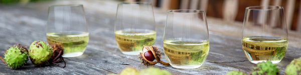 Riedel Stemless Wine Glasses
