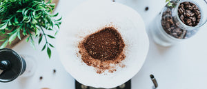 Ground Coffee in Coffee Filter