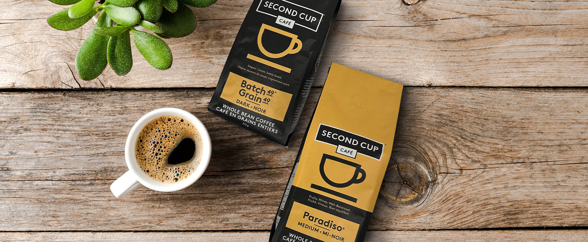 Second Cup Café ECS Coffee