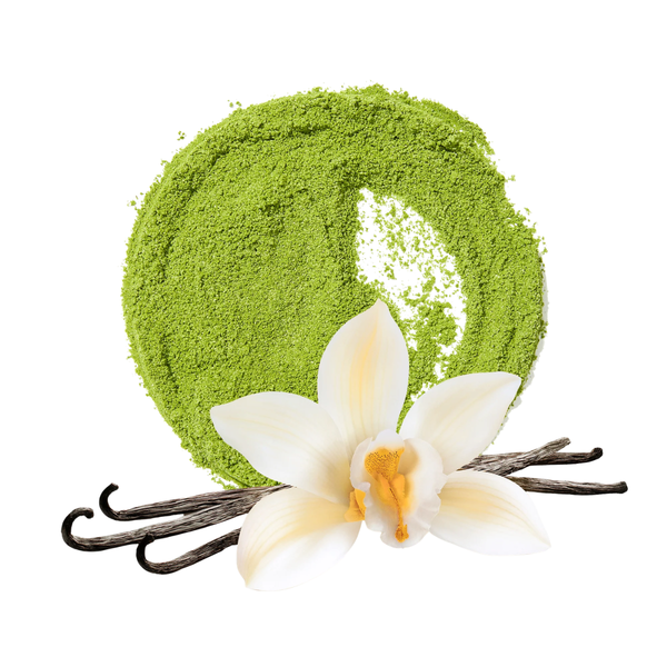 DavidsTea Vanilla Matcha Tea Tin, 65g
