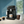 Philips 2300 LatteGo Espresso Machine #EP2330/14