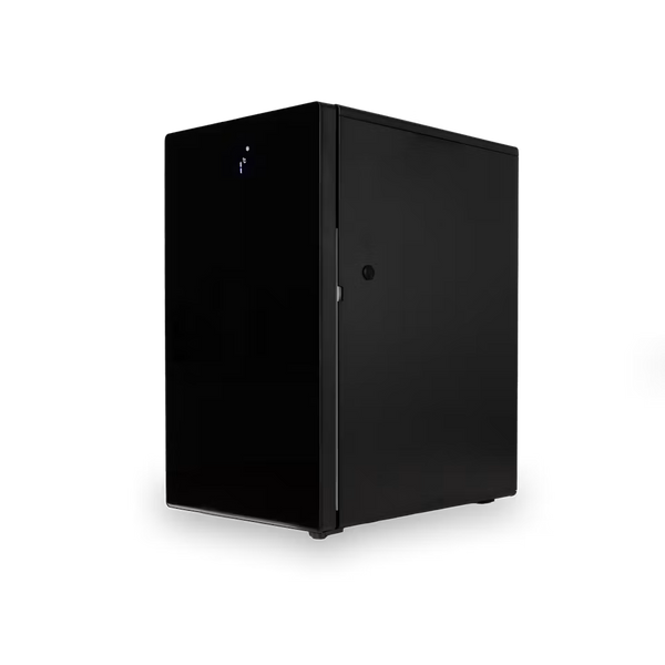Bellucci 4L Electric Milk Cooler/Fridge, Black