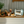 Dualit NewGen Classic Toaster 4-Slot, Glacier Blue #47256