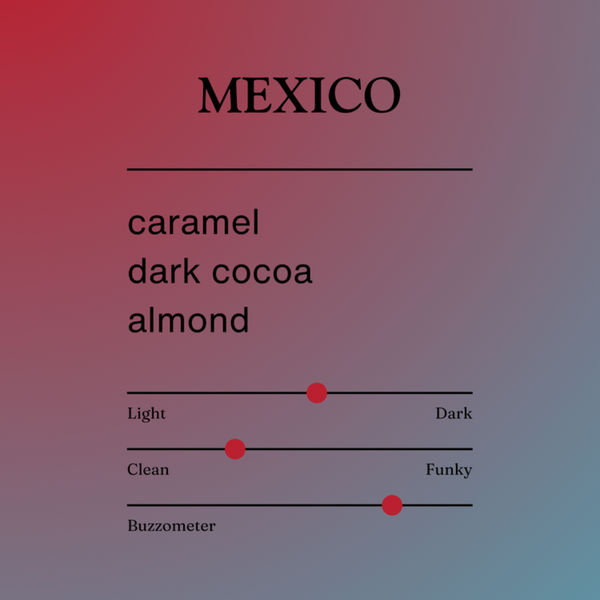 Café en grains entiers Jerry's Mexico, 340 g 