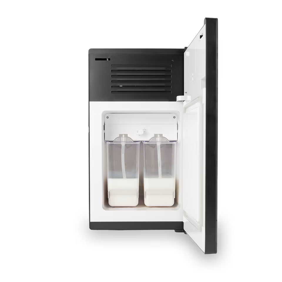 Bellucci 4L Electric Milk Cooler/Fridge, Black