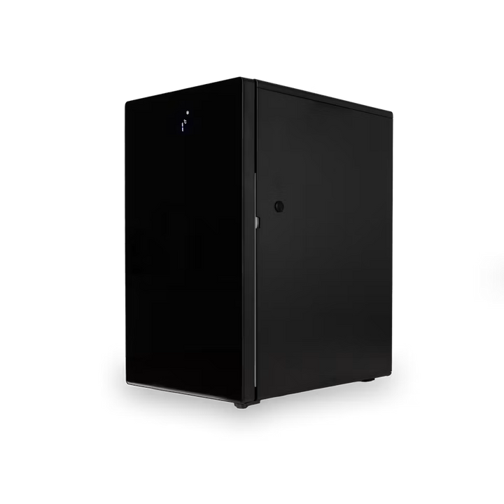 Bellucci 4L Electric Milk Cooler/Fridge, Black