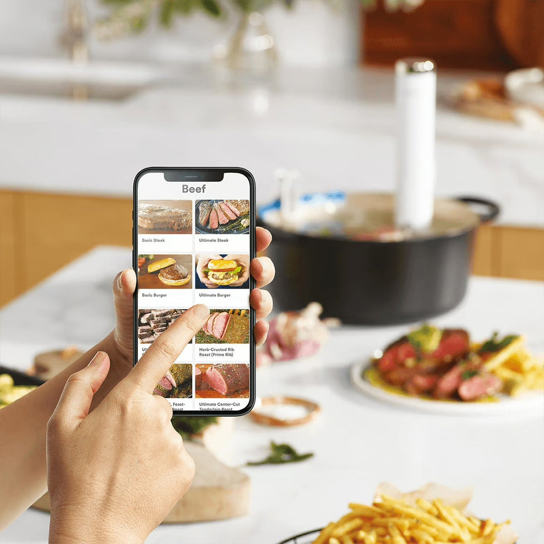 Breville the Joule™ Turbo Sous Vide 