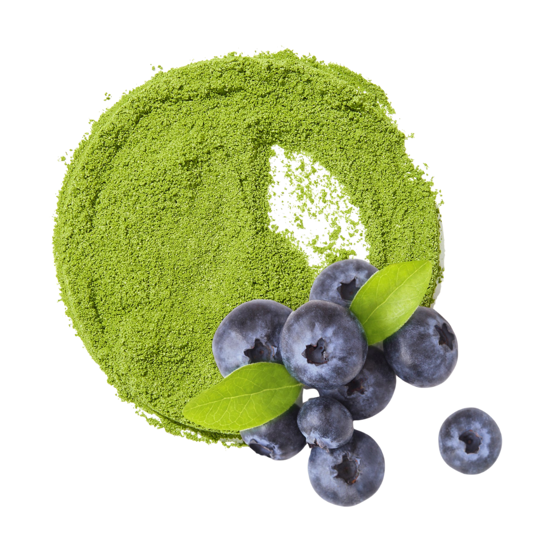 DavidsTea Blueberry Matcha Tea Tin, 65g