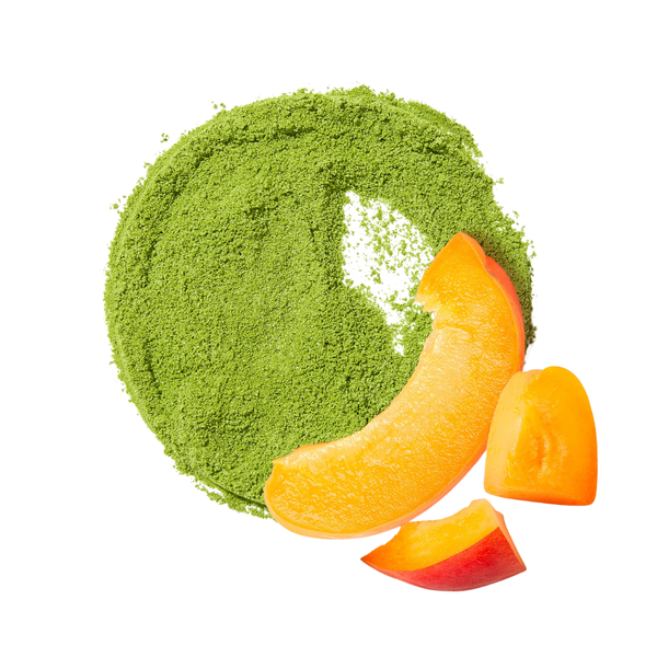 DavidsTea Peach Matcha Tea Tin, 65g