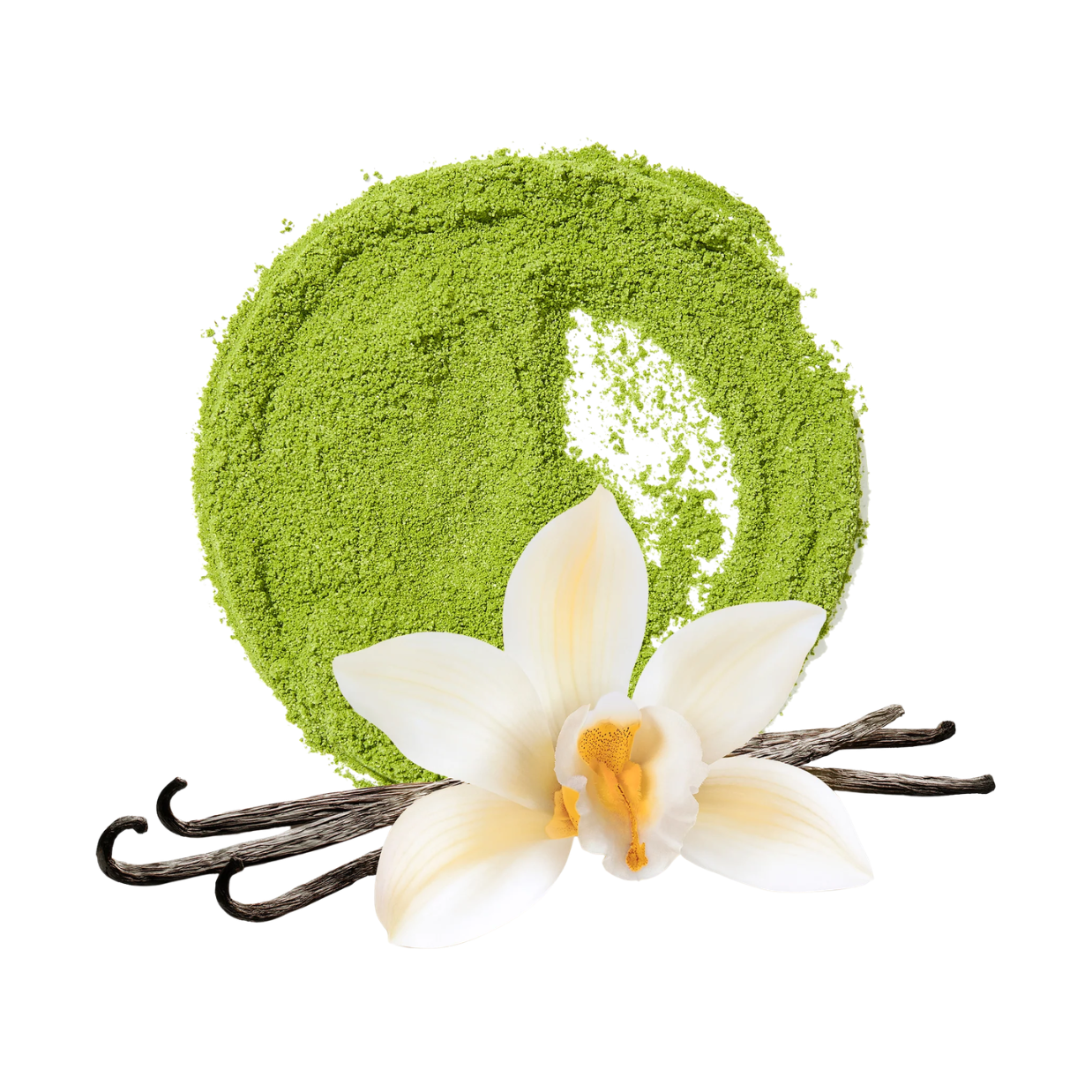 DavidsTea Vanilla Matcha Tea Tin, 65g