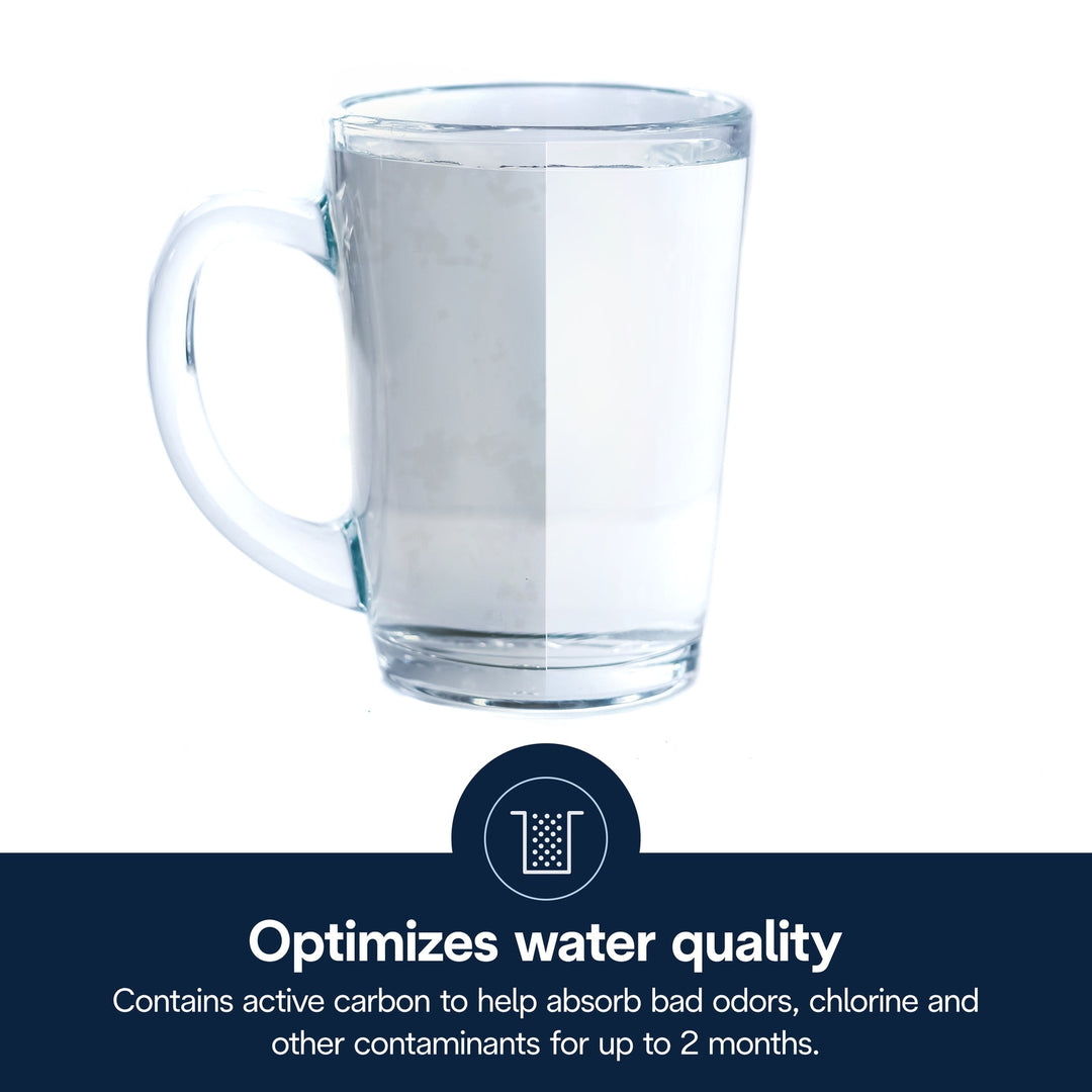 DeLonghi DLS C002 Water Filter