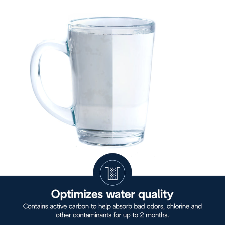 DeLonghi DLS C002 Water Filter