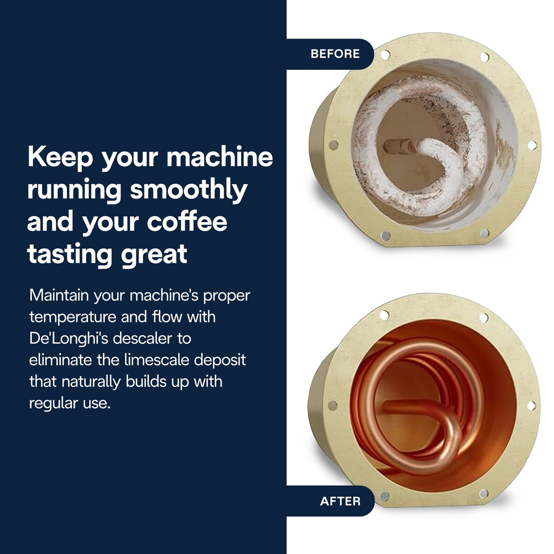 DeLonghi EcoDecalk Descaler Liquid 2 Pack, 500ml each