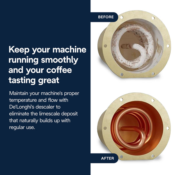 DeLonghi EcoDecalk Descaler Liquid 2 Pack, 500ml each