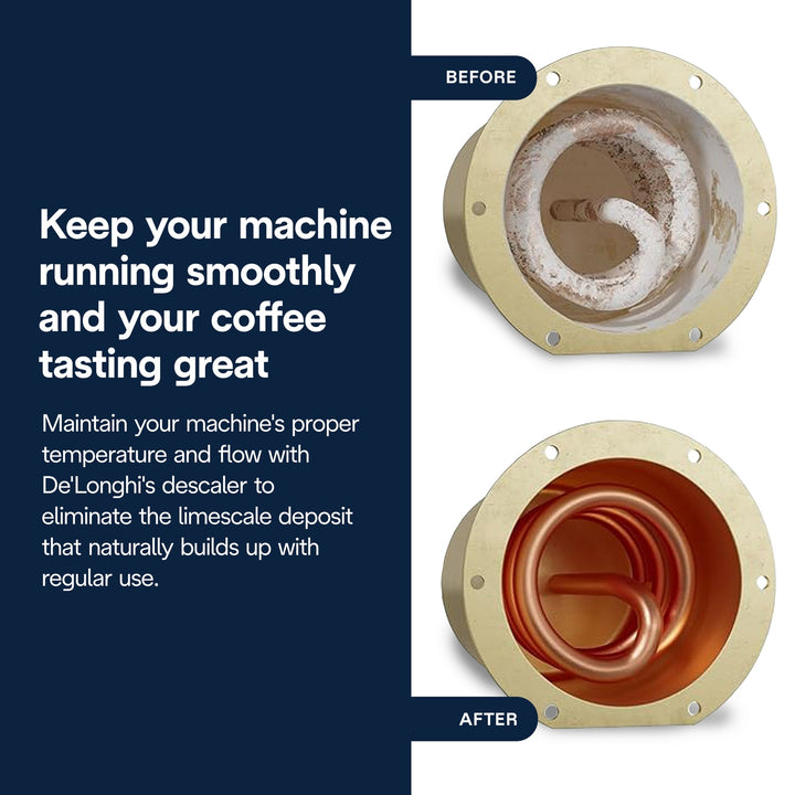 DeLonghi EcoDecalk Descaler Liquid 2 Pack, 500ml each