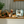 Dualit Newgen Classic Toaster 2-Slot, Glacier Blue #27276