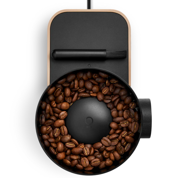 Fellow Opus 2 All Purpose Grinder, Malted Chocolate & Maple #FLLW-1222ML-NA