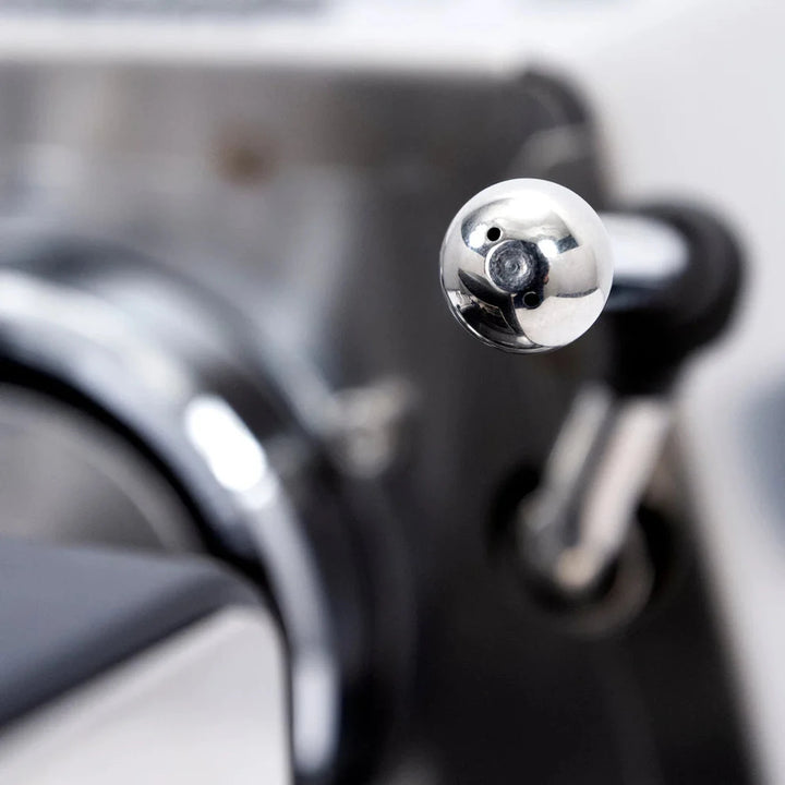 Gaggia Classic Pro E24 Espresso Machine, Inox