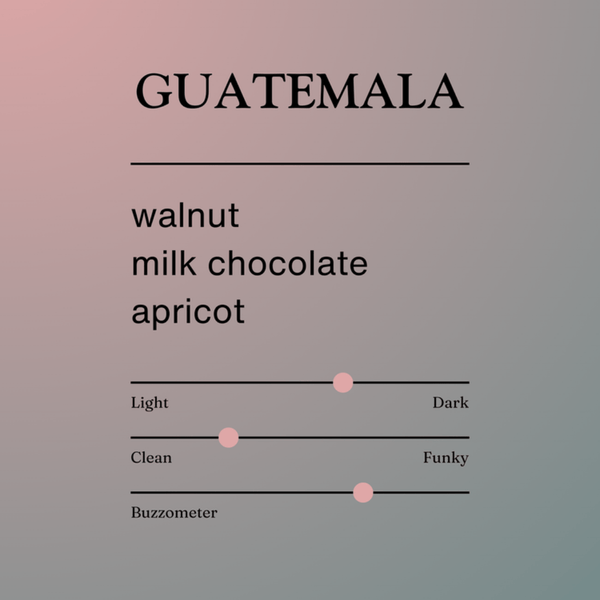Jerry's Guatemala Whole Bean Coffee, 340g