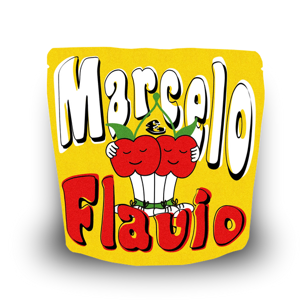 Traffic Coffee Marcelo Whole bean 300G