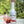 Monin Strawberry Fruit Purée, 1L Bottle