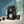 Philips 2300 LatteGo Espresso Machine #EP2330/14