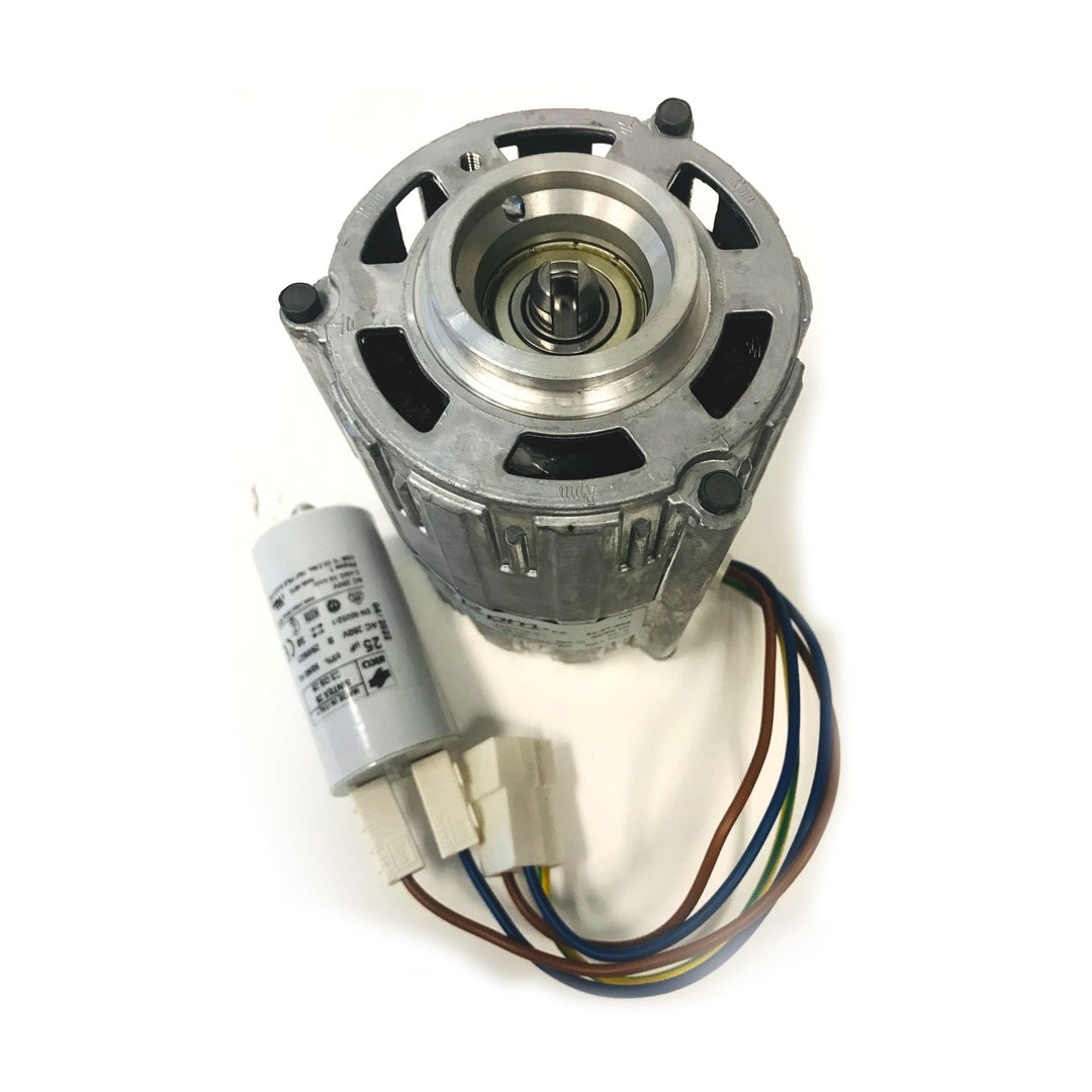 Rocket Rotary Pump Motor 100V - A199904494