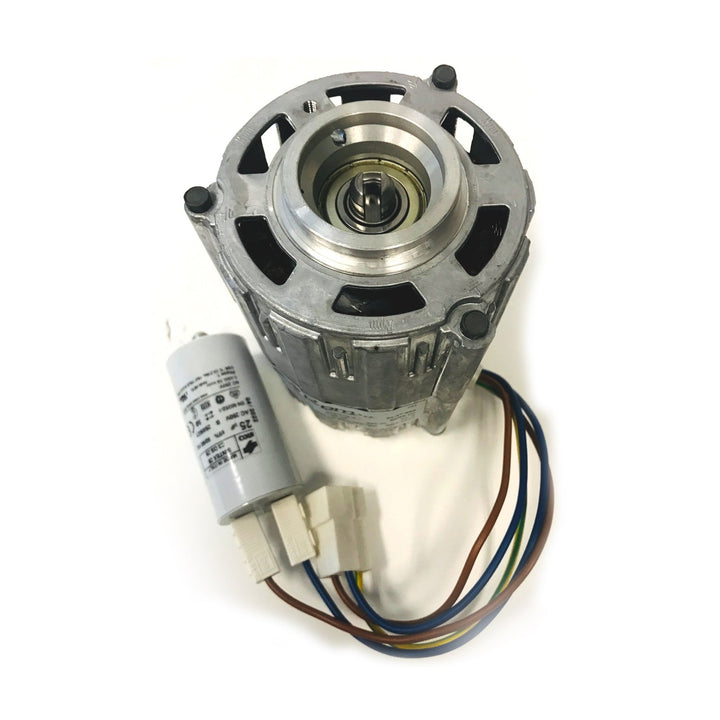 Rocket Rotary Pump Motor 100V - A199904494