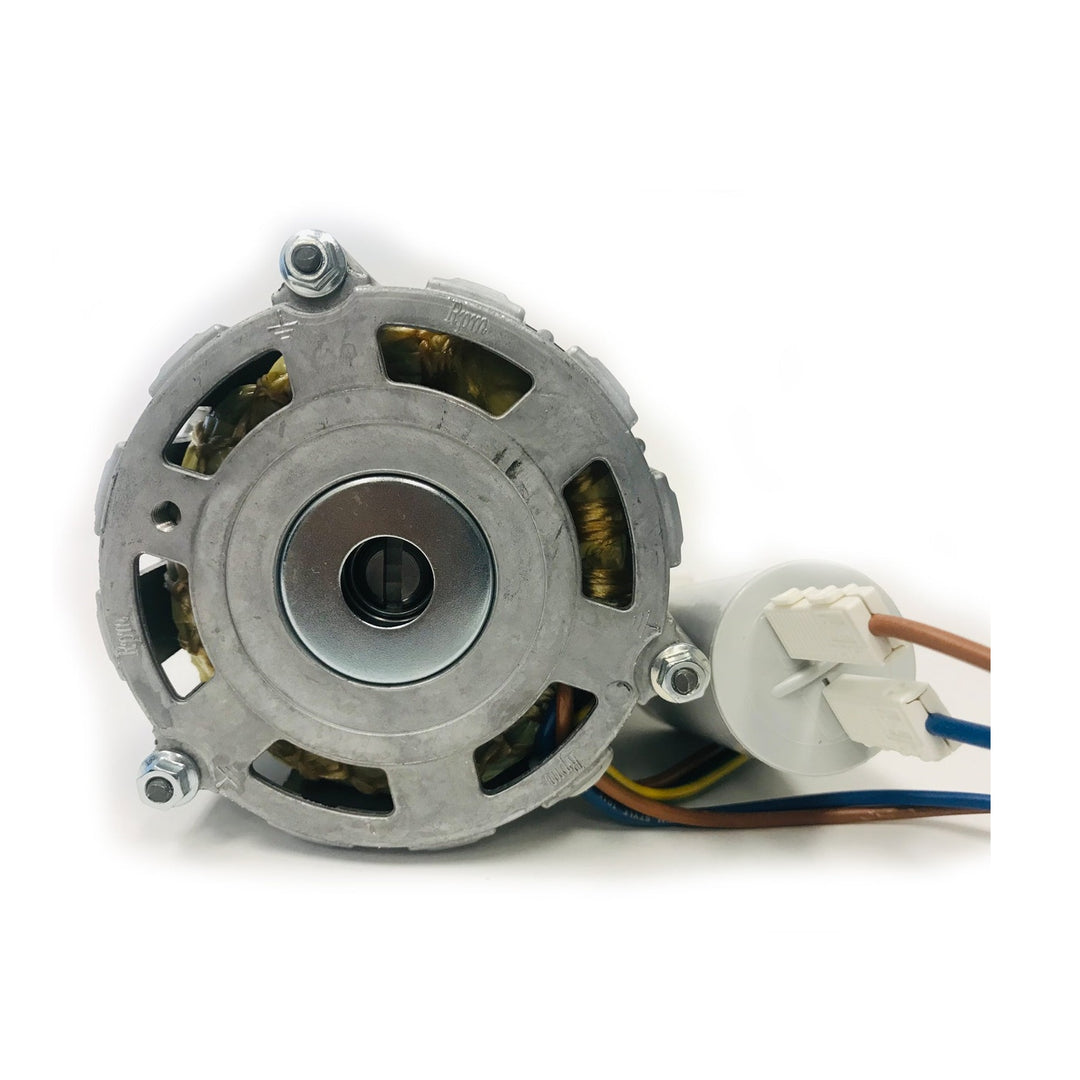 Rocket Rotary Pump Motor 100V - A199904494