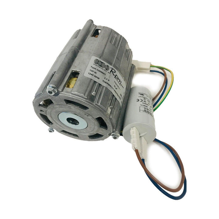 Rocket Rotary Pump Motor 100V - A199904494