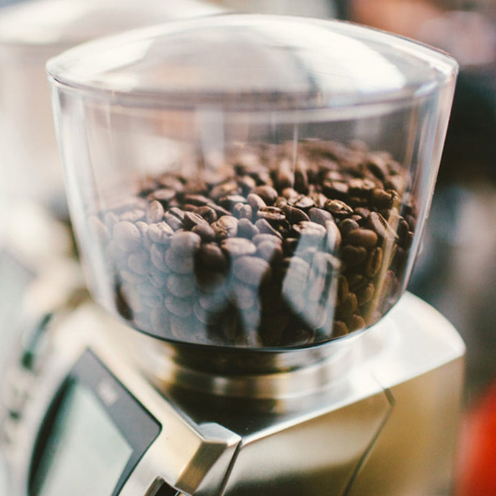 Baratza Forte-BG Flat Steel Burr Grinder 