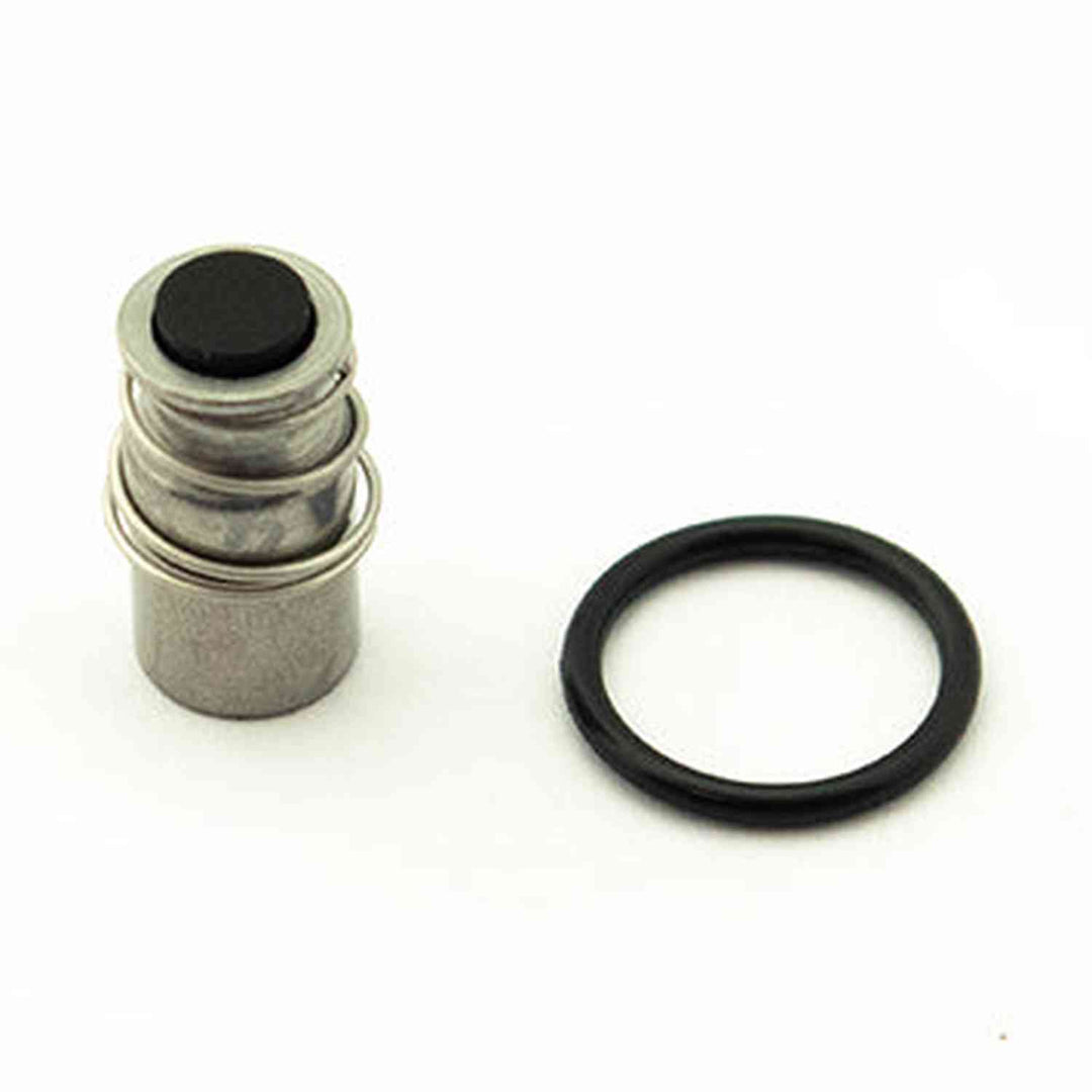 Bunn Solenoid Valve Repair Kit 01111.0002