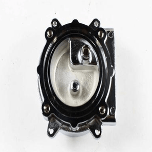 Gaggia Group Body 996530052248