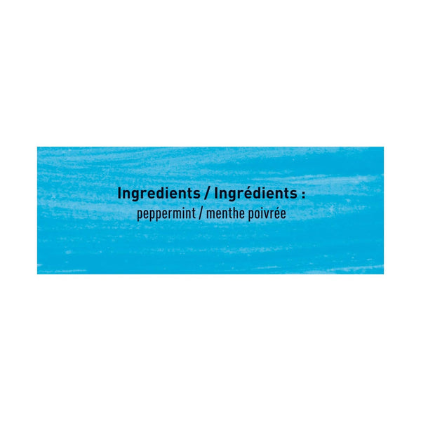 Higgins & Burke Peppermint Patch Filterbag Tea 20 Count