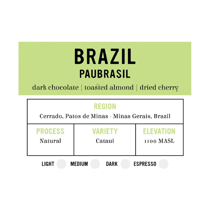 I.XXI Brazil Paubrasil Whole Bean Coffee, 12 oz.