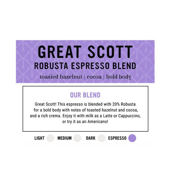 I.XXI Great Scott Robusta Espresso Blend Whole Bean Coffee, 12 oz.
