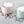 Monin Floral Flavour Collection, 5 Pack