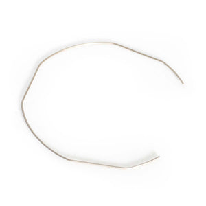 Rancilio Silvia Filter Spring #25-105-001