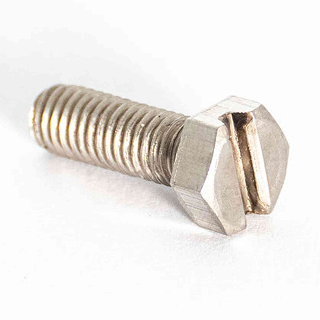 Rancilio Silvia Shower Screw 