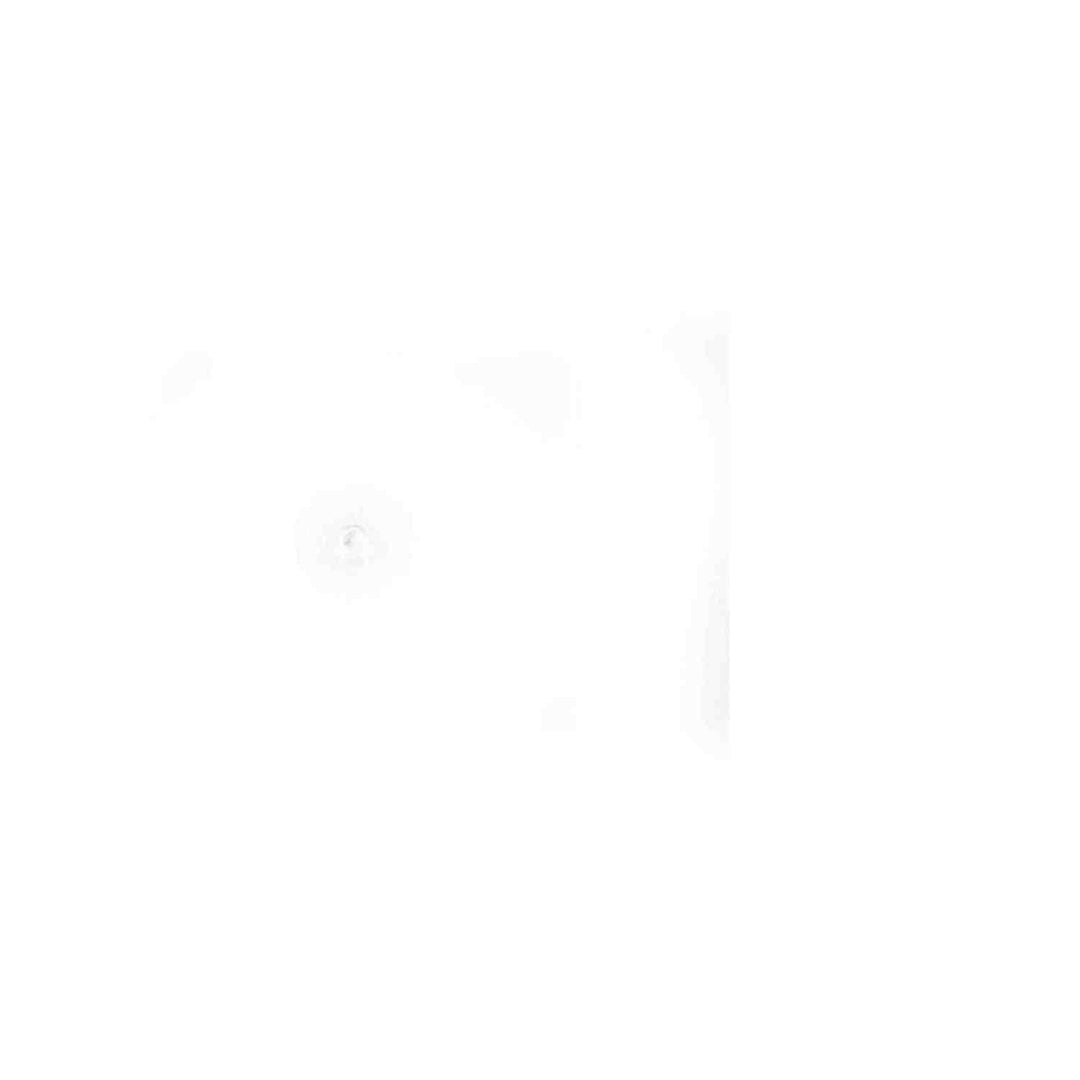 Saeco Borosilcate Sphere D.5MM part 421944034451