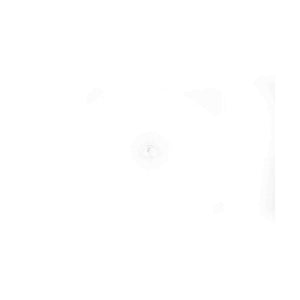 Saeco Borosilcate Sphere D.5MM part 421944034451