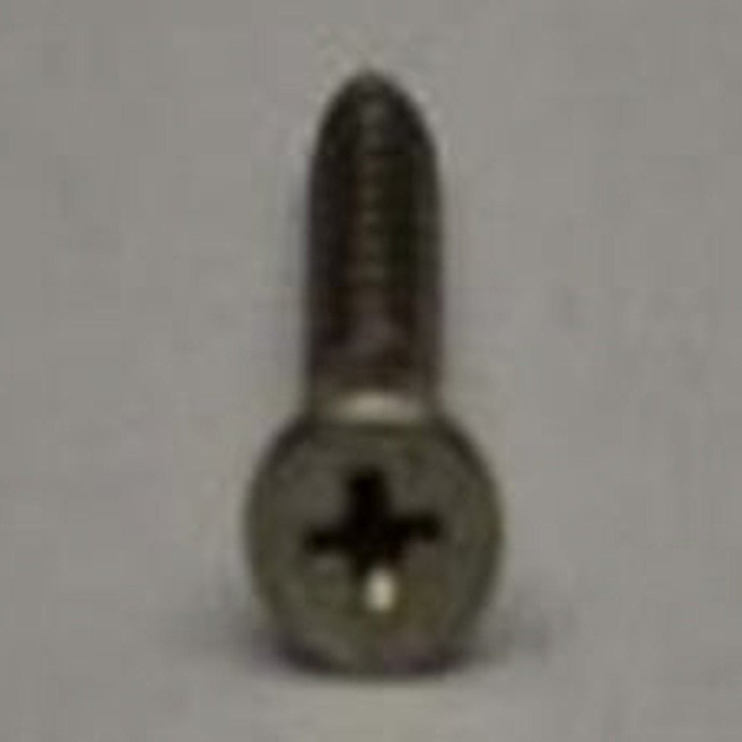 Saeco Screw torx 10 m3x8 - 996530012935