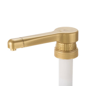 Torani Syrup Dispensing Pump