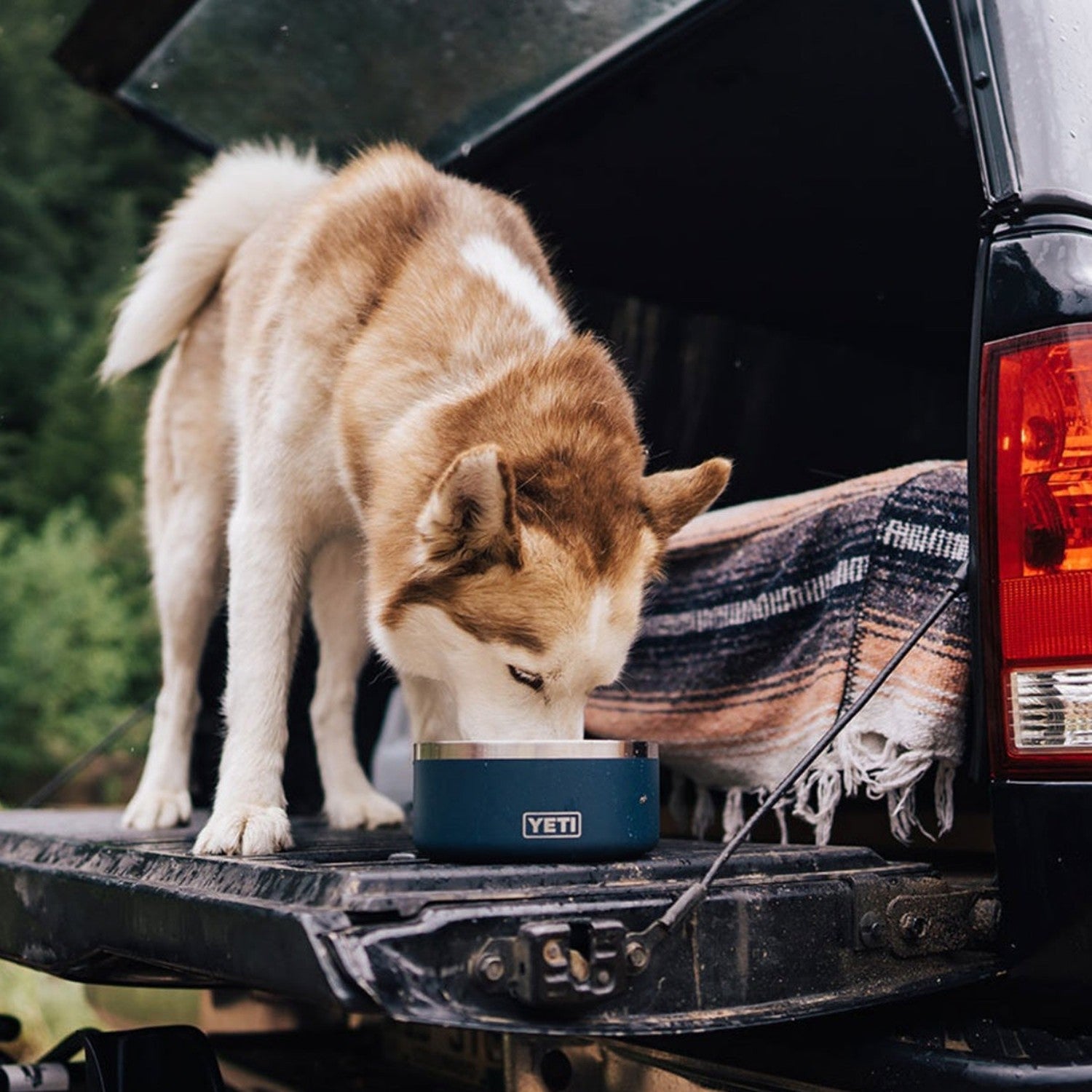 YETI Boomer 4 Cup Dog Bowl, Navy – ECS Coffee