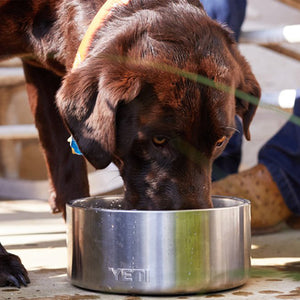 Yeti Boomer 4 Dog Bowl – Elkmont Trading Company